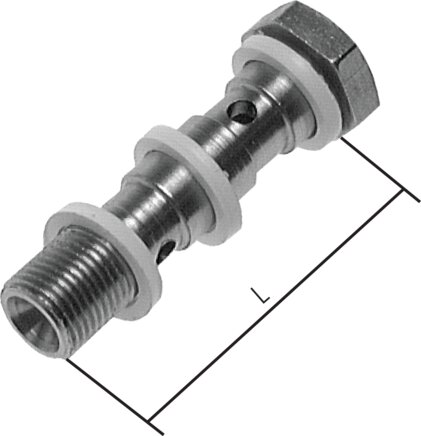 Exemplarische Darstellung: Edelstahl-Hohlschraube (2-fach)